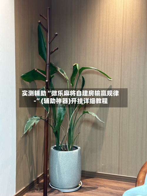 实测辅助“微乐麻将自建房输赢规律-”(辅助神器)开挂详细教程-第3张图片