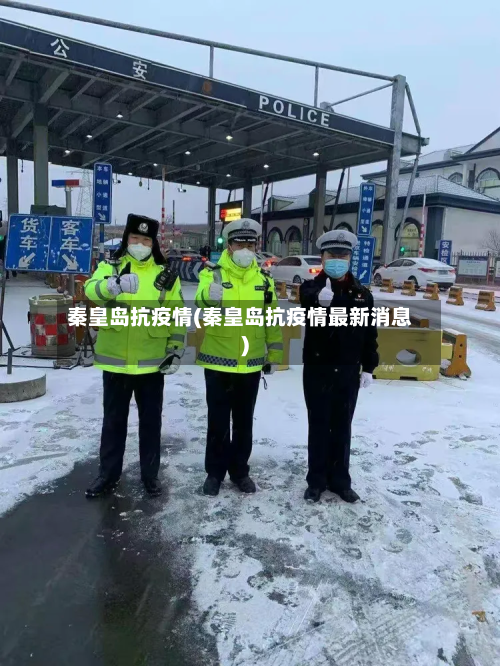 秦皇岛抗疫情(秦皇岛抗疫情最新消息)-第2张图片