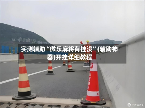 实测辅助“微乐麻将有挂没”(辅助神器)开挂详细教程-第1张图片