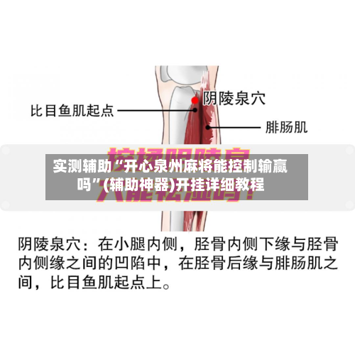 实测辅助“开心泉州麻将能控制输赢吗	”(辅助神器)开挂详细教程-第1张图片