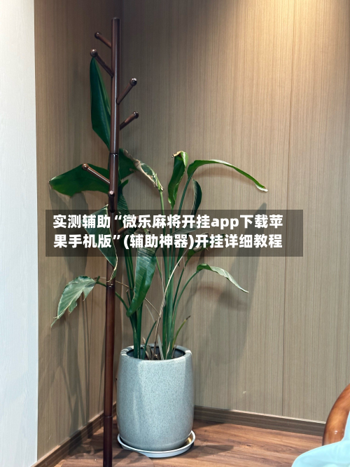 实测辅助“微乐麻将开挂app下载苹果手机版	”(辅助神器)开挂详细教程-第1张图片