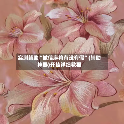 实测辅助“微信麻将有没有假”(辅助神器)开挂详细教程-第3张图片