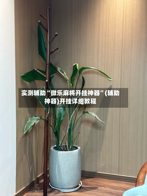 实测辅助“微乐麻将开挂神器	”(辅助神器)开挂详细教程-第1张图片