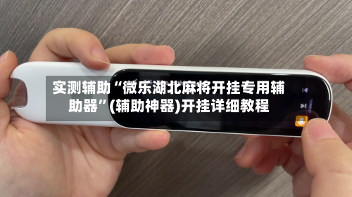 实测辅助“微乐湖北麻将开挂专用辅助器”(辅助神器)开挂详细教程-第2张图片