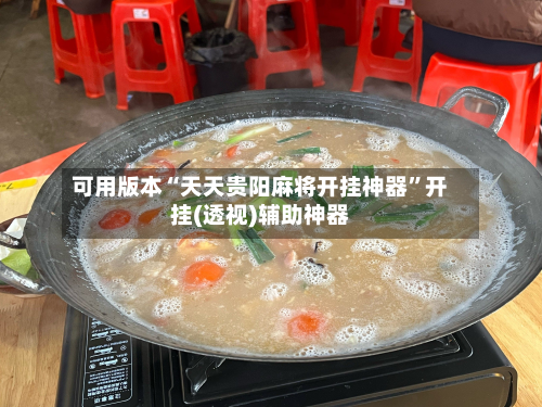 可用版本“天天贵阳麻将开挂神器”开挂(透视)辅助神器-第1张图片