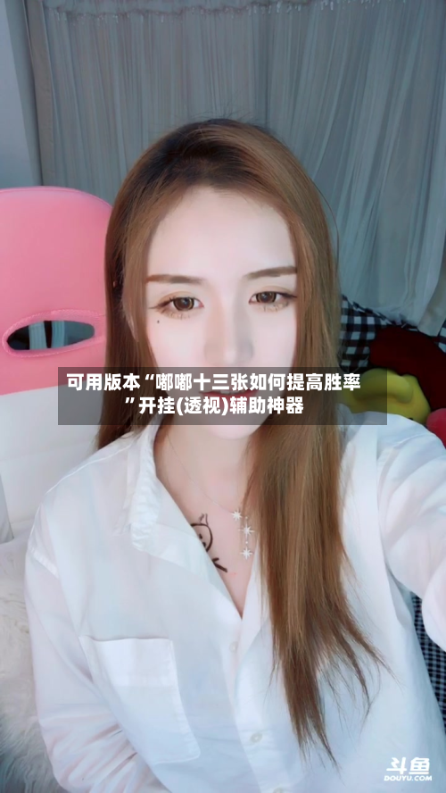 可用版本“嘟嘟十三张如何提高胜率”开挂(透视)辅助神器-第1张图片