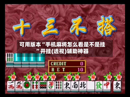 可用版本“手机麻将怎么看是不是挂”开挂(透视)辅助神器-第1张图片