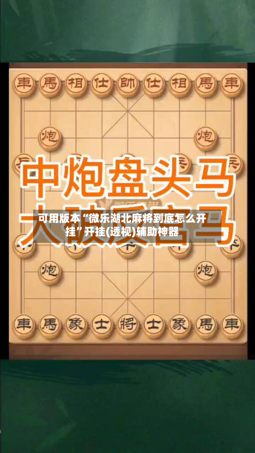 可用版本“微乐湖北麻将到底怎么开挂	”开挂(透视)辅助神器-第2张图片