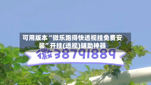 可用版本“微乐跑得快透视挂免费安装”开挂(透视)辅助神器-第3张图片