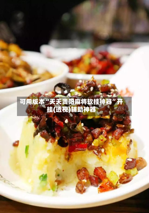 可用版本“天天贵阳麻将软挂神器”开挂(透视)辅助神器-第1张图片