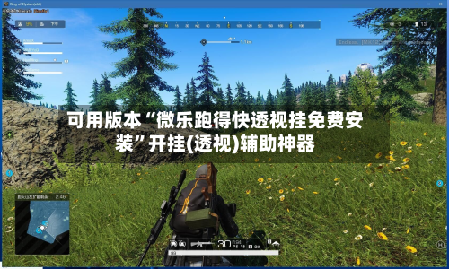 可用版本“微乐跑得快透视挂免费安装”开挂(透视)辅助神器-第1张图片