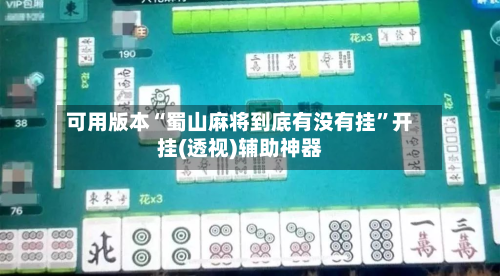可用版本“蜀山麻将到底有没有挂	”开挂(透视)辅助神器-第2张图片