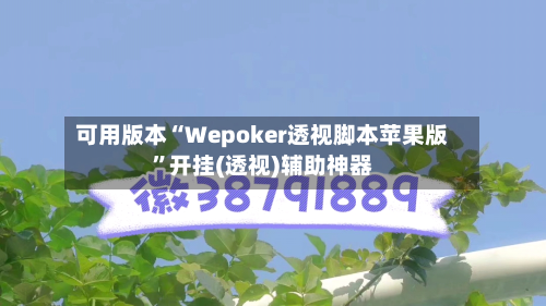 可用版本“Wepoker透视脚本苹果版	”开挂(透视)辅助神器-第2张图片