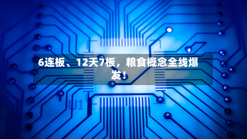 6连板、12天7板，粮食概念全线爆发！-第1张图片