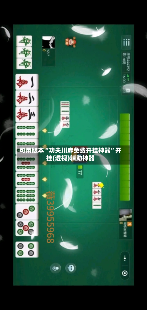 可用版本“功夫川麻免费开挂神器”开挂(透视)辅助神器-第1张图片