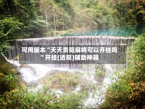 可用版本“天天贵阳麻将可以开挂吗”开挂(透视)辅助神器-第2张图片