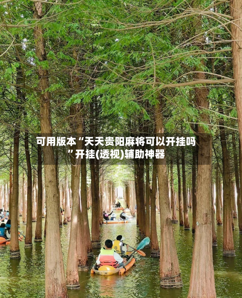 可用版本“天天贵阳麻将可以开挂吗	”开挂(透视)辅助神器-第1张图片