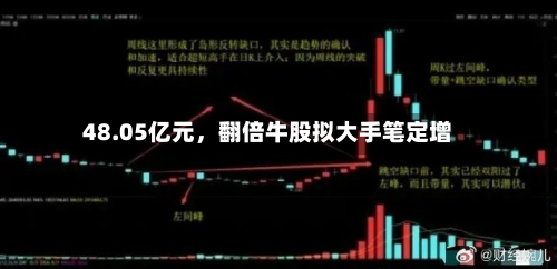 48.05亿元，翻倍牛股拟大手笔定增-第3张图片