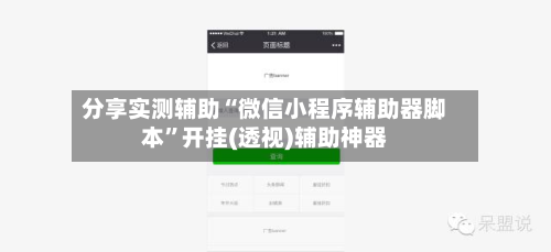 分享实测辅助“微信小程序辅助器脚本”开挂(透视)辅助神器-第1张图片