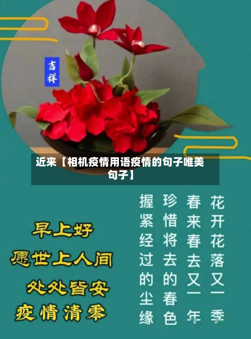 近来【相机疫情用语疫情的句子唯美句子】-第2张图片