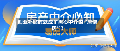 创业补贴咋就成了黑心中介的“唐僧肉	”？-第2张图片