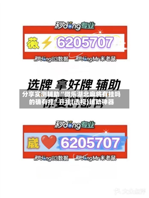 分享实测辅助“微乐湖北麻将有挂吗的确有挂”开挂(透视)辅助神器-第3张图片