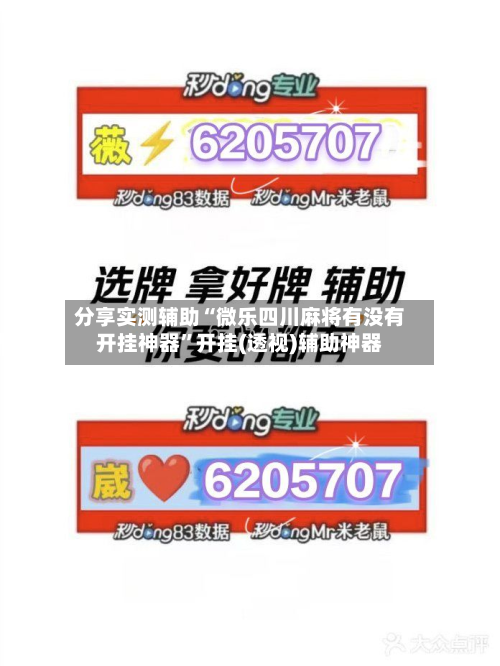分享实测辅助“微乐四川麻将有没有开挂神器”开挂(透视)辅助神器-第2张图片