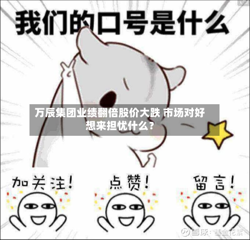 万辰集团业绩翻倍股价大跌 市场对好想来担忧什么？-第1张图片