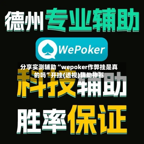 分享实测辅助“wepoker作弊挂是真的吗	”开挂(透视)辅助神器-第2张图片