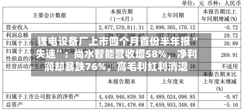 锂电设备厂上市四个月首份半年报“失速”：尚水智能营收增58%，净利润却暴跌76%	，高毛利红利消退-第1张图片