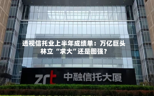 透视信托业上半年成绩单：万亿巨头林立 “求大”还是图强？-第1张图片