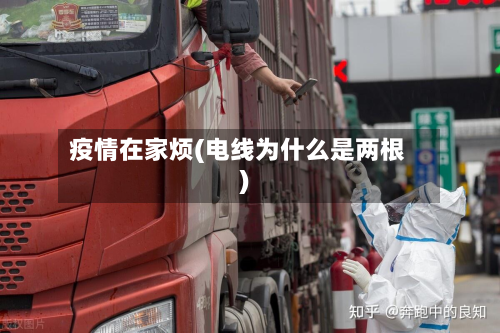 疫情在家烦(电线为什么是两根)-第1张图片