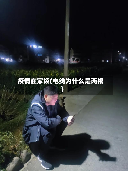 疫情在家烦(电线为什么是两根)-第2张图片