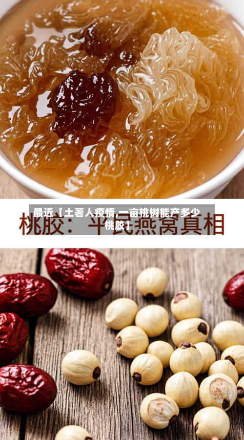 最近【土著人疫情,一亩桃树能产多少桃胶】-第2张图片
