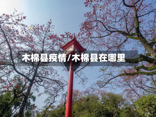 木棉县疫情/木棉县在哪里-第1张图片