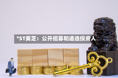 *ST美芝:公开招募和遴选投资人-第2张图片