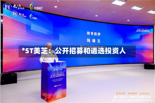 *ST美芝:公开招募和遴选投资人-第1张图片