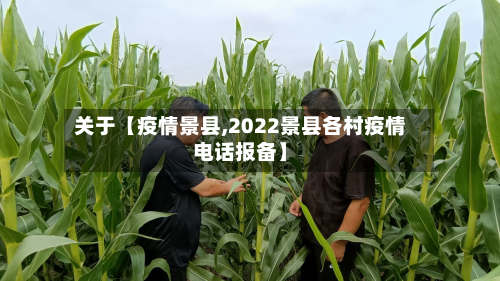 关于【疫情景县,2022景县各村疫情电话报备】-第1张图片