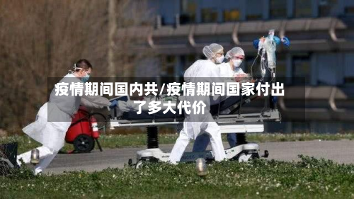 疫情期间国内共/疫情期间国家付出了多大代价-第3张图片