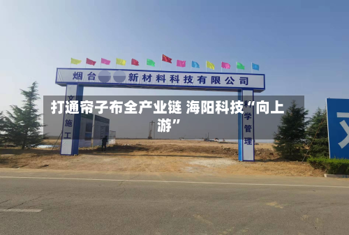 打通帘子布全产业链 海阳科技“向上游”-第1张图片