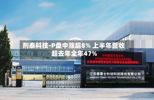 剂泰科技-P盘中涨超8% 上半年营收超去年全年47%-第2张图片