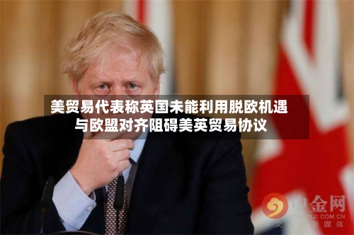 美贸易代表称英国未能利用脱欧机遇 与欧盟对齐阻碍美英贸易协议-第2张图片