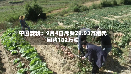 中国淀粉:9月4日斥资29.93万港元回购182万股-第2张图片