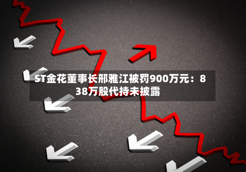 ST金花董事长邢雅江被罚900万元:838万股代持未披露-第2张图片
