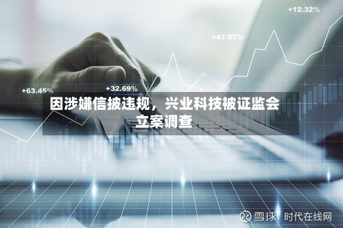 因涉嫌信披违规	，兴业科技被证监会立案调查-第2张图片