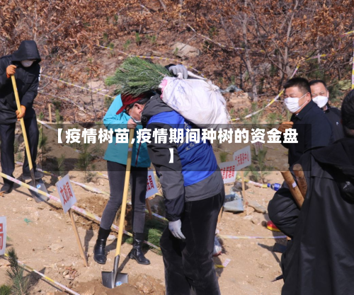 【疫情树苗,疫情期间种树的资金盘】-第1张图片