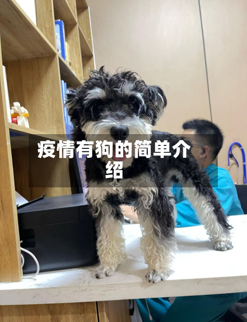 疫情有狗的简单介绍-第2张图片