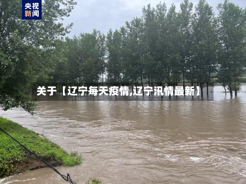 关于【辽宁每天疫情,辽宁汛情最新】-第1张图片