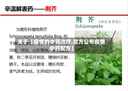 关于【疫情的中药治疗,官方公布疫情中药配方】-第1张图片