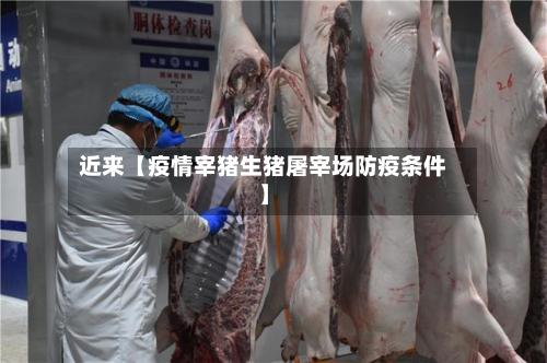 近来【疫情宰猪生猪屠宰场防疫条件】-第3张图片